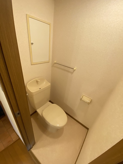 大阪モノレール本線 南摂津駅 徒歩5分 6階建 築25年のトイレ写真