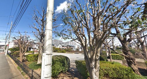 公園　境南西公園（公園）まで701m