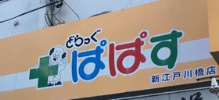 ドラックストア　どらっぐぱぱす 新江戸川橋店（ドラッグストア）まで502m