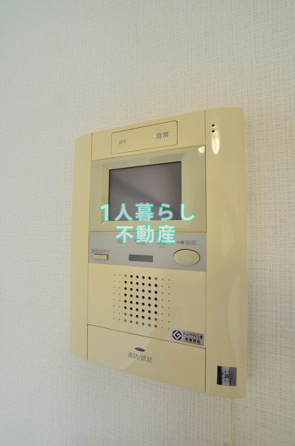 セキュリティ　TVインターホン