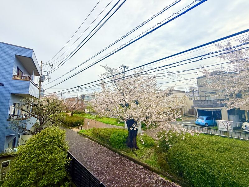 眺望