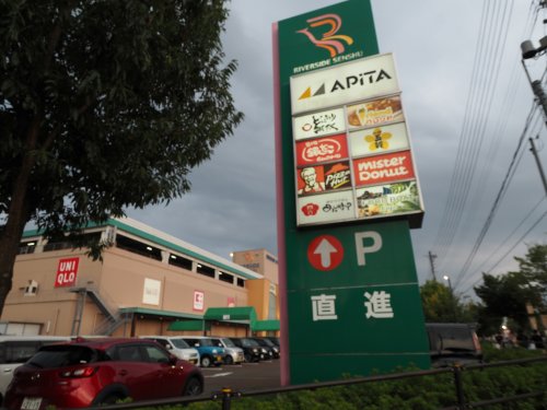 ショッピングセンター　アピタ長岡店（ショッピングセンター）まで410m
