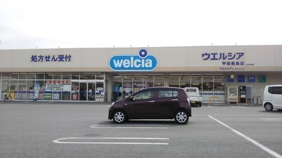 ドラックストア　ウエルシア甲斐敷島店（ドラッグストア）まで1049m