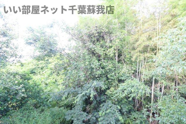 眺望　明日を自由に『Asfree』いい部屋ネット千葉蘇我店です！