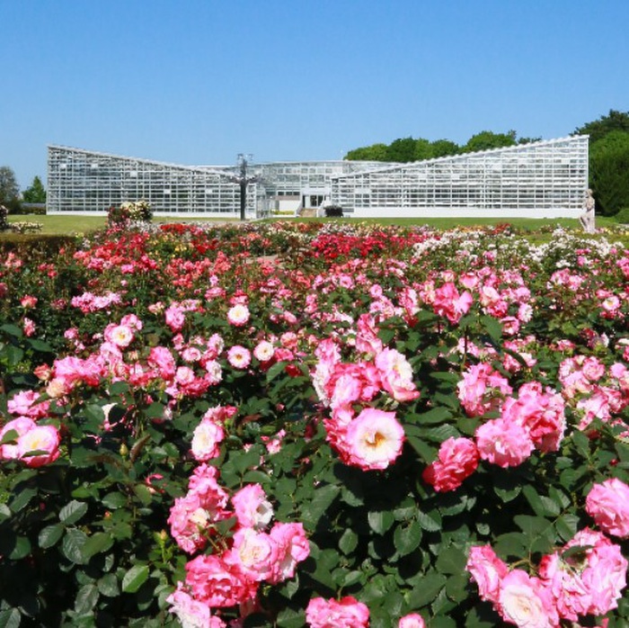 公園　神代植物公園（公園）まで1900m