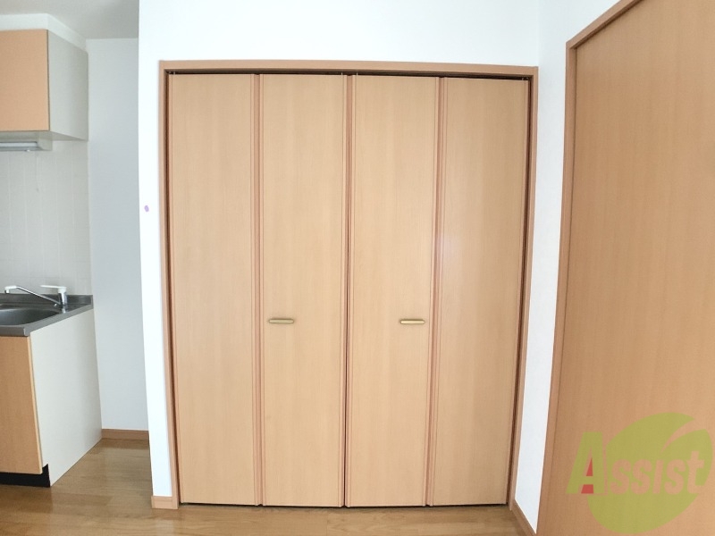 収納　洋室にございます収納は大きく沢山しまえそうです。