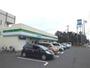 コンビニ　ファミリーマート 浦和領家一丁目店（コンビニ）まで319m