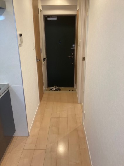 玄関　玄関部分