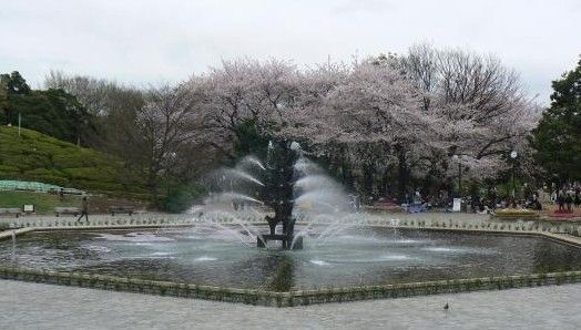 公園　世田谷公園（公園）まで1240m