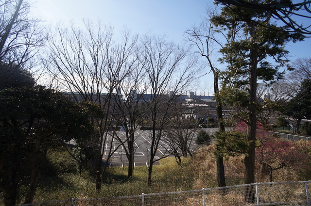 眺望　お部屋からの景色です♪