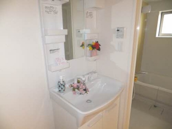 洗面設備　※他号室の写真です