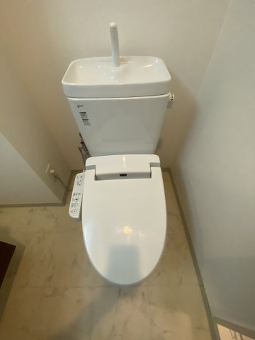 阪急千里線 豊津駅 徒歩9分 10階建 築15年のトイレ写真