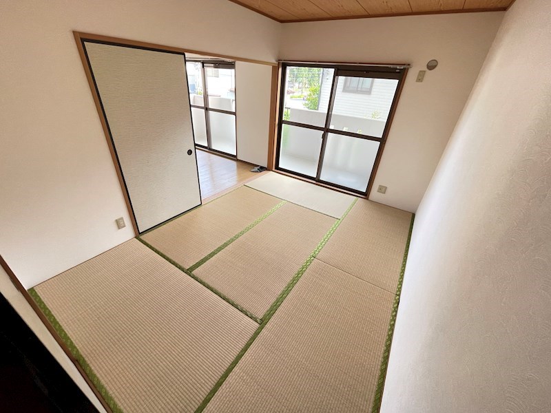 その他　2024/5/18撮影