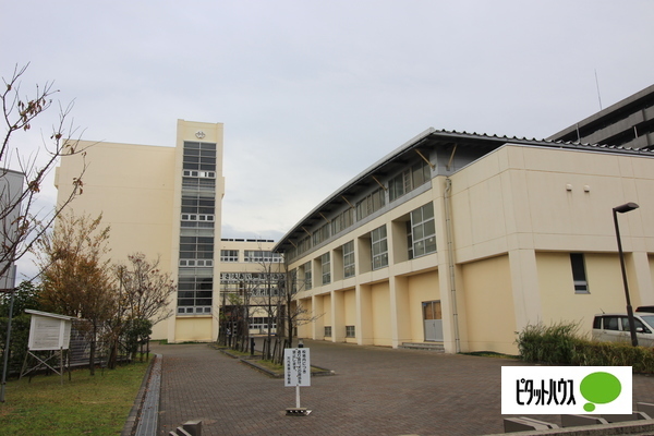 小学校　新潟市立万代長嶺小学校（小学校）まで708m