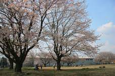 公園　中貫公園（公園）まで1835m