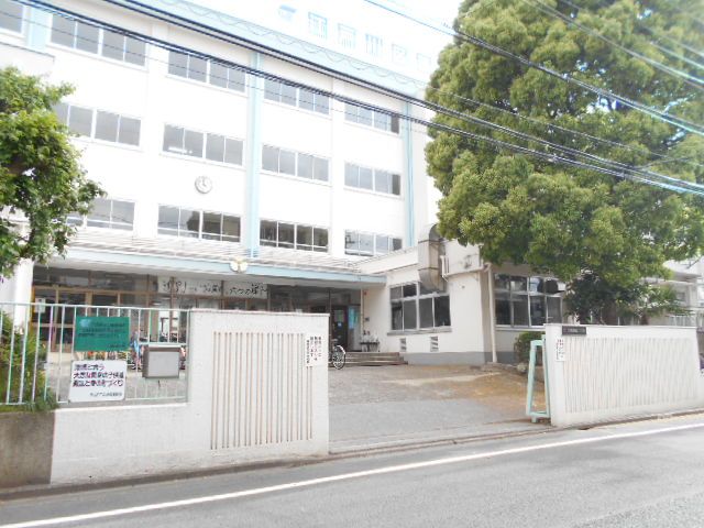 中学校　江戸川区立葛西第三中学校（中学校）まで590m