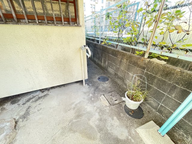 庭