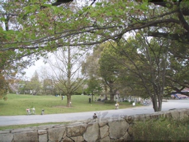 【天神川林マンションの公園】