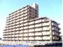 10階 築33年11ヶ月の賃貸物件