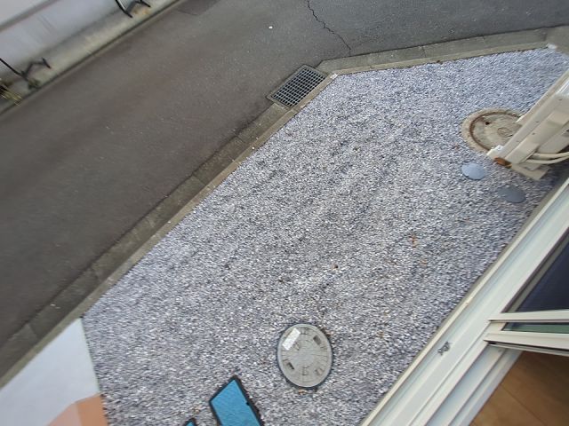 庭