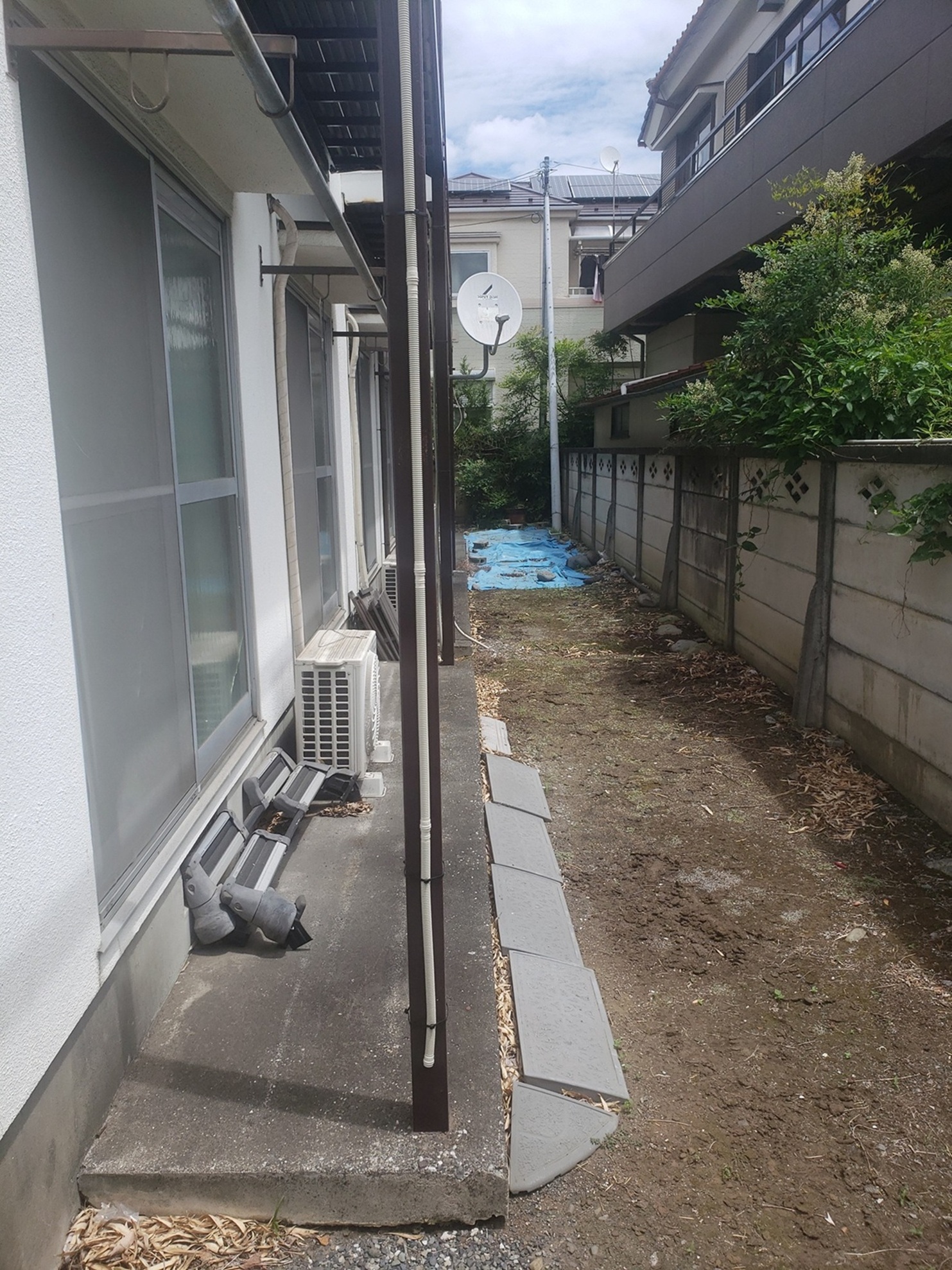 庭