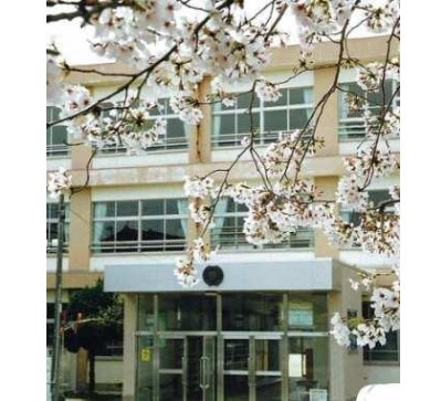 小学校　和歌山市立野崎小学校（小学校）まで204m