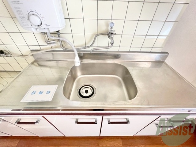 洗面設備　洗面台はこちらをご使用くださいませ。広く感じました。