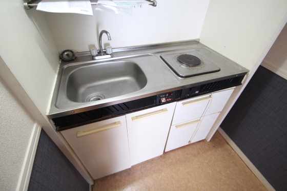 キッチン　※別号室の写真です。