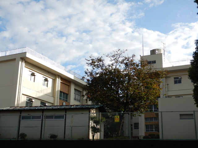 小学校　横浜市立上矢部小学校（小学校）まで252m