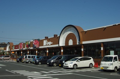 スーパー　ドミー三谷店（スーパー）まで1148m
