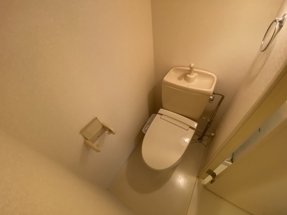 トイレ　※別号室の写真です