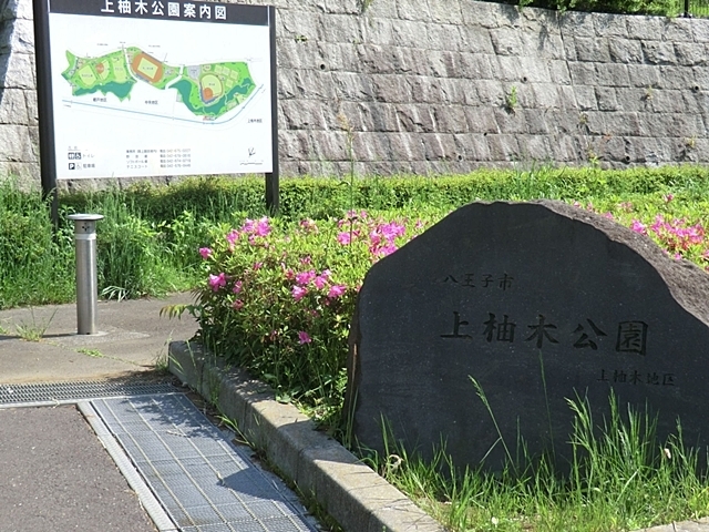 公園　上柚木公園（公園）まで853m