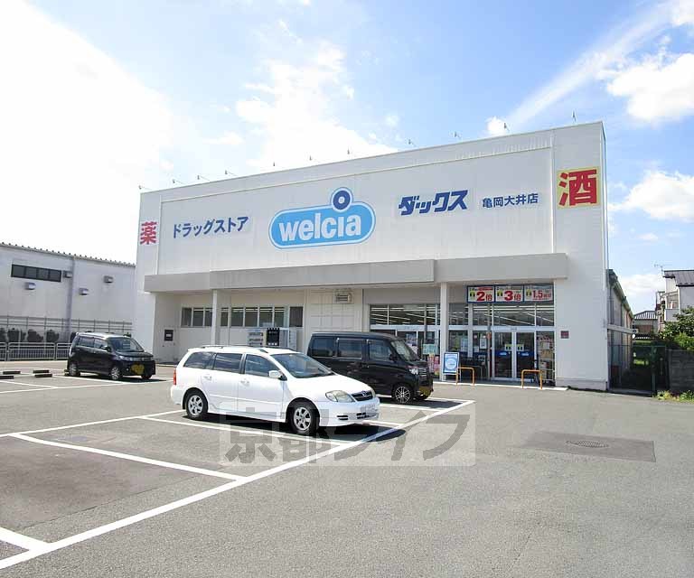 ドラックストア　ダックス　亀岡大井店（ドラッグストア）まで900m