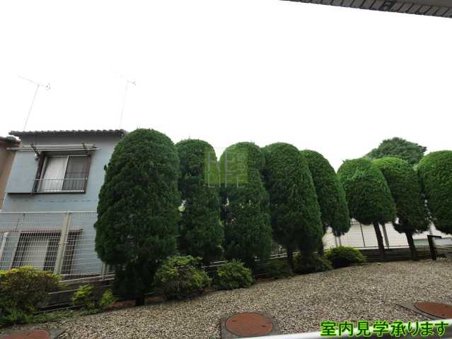 眺望　別部屋の画像になります。