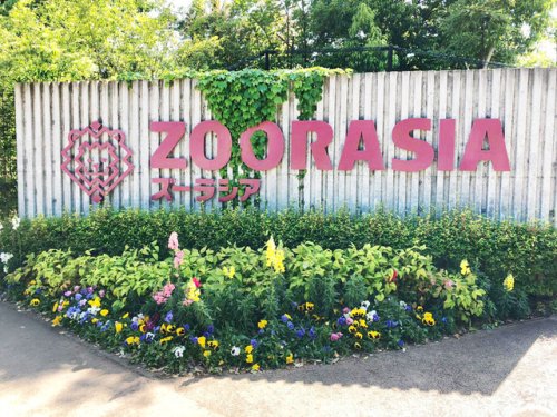 その他　よこはま動物園ズーラシア（その他）まで5533m