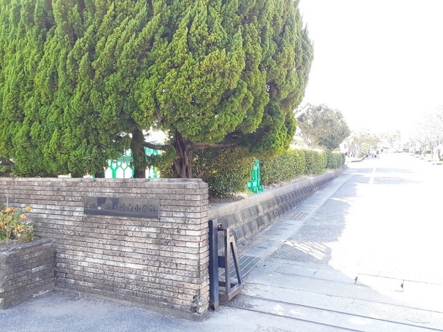 その他　宮崎市立宮崎南小学校（その他）まで650m