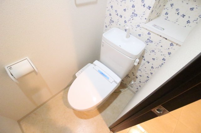 トイレ　同物件別部屋写真