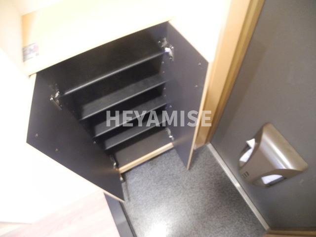 玄関　※同間取りの別の階のお部屋の写真です※