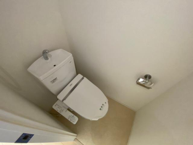 トイレ　トイレも気になるポイント