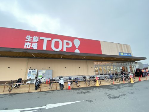 スーパー　【10/21オープン】生鮮市場TOP(トップ) 中和倉店（スーパー）まで741m