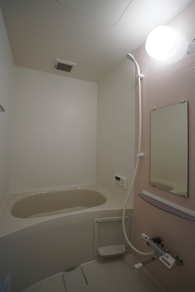 バス・シャワールーム　同じ建物の別なお部屋