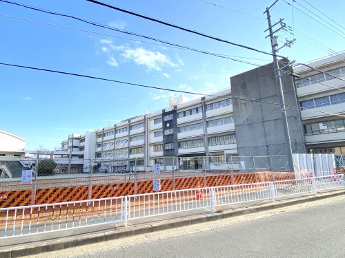 小学校　高石市立加茂小学校（小学校）まで361m