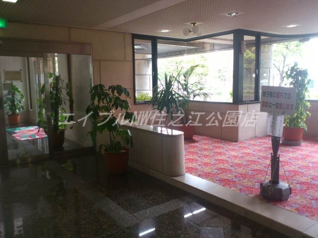 エントランス　手入ればっちり