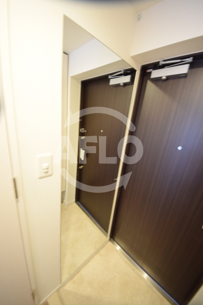 その他設備　レオンコンフォート難波南II　姿見