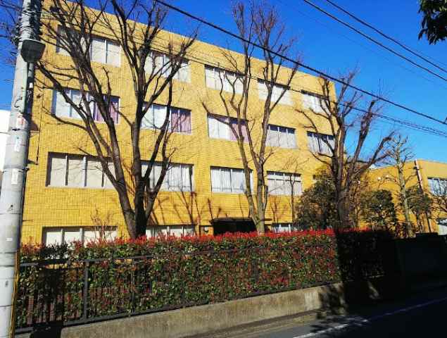 大学・短大　東邦大学医学部看護学部（大学・短大）まで489m