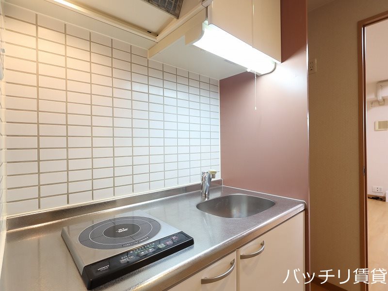 キッチン　同室タイプ掲載の為現況を優先します。