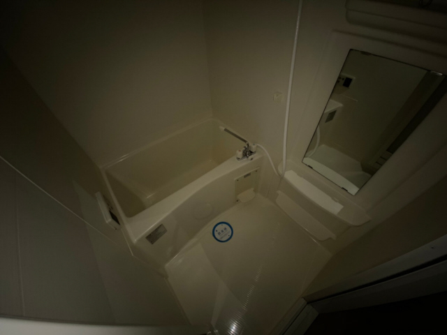 バス・シャワールーム　お風呂です