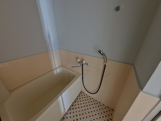 バス・シャワールーム　※別部屋の写真使用