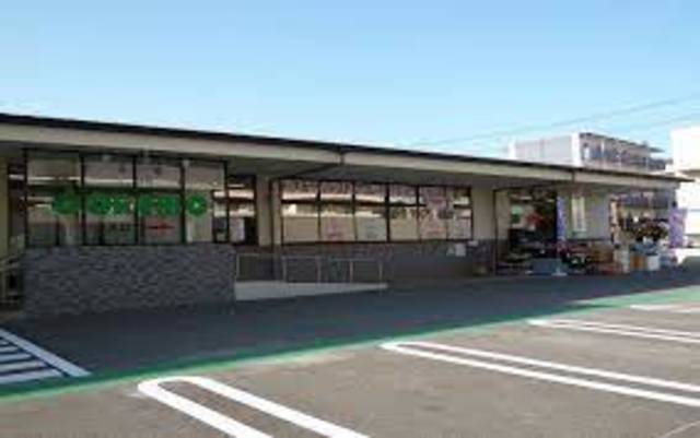 スーパー　フレスココレモ壬生店（スーパー）まで677m