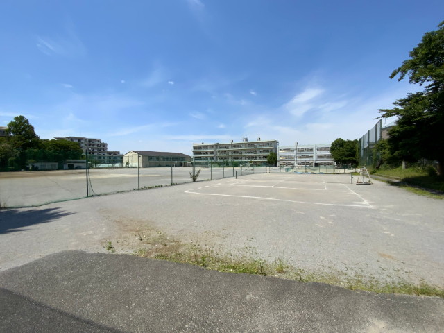 中学校　流山市立常盤松中学校（中学校）まで612m